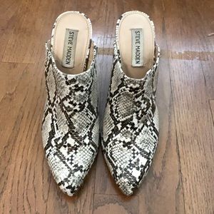 Steve Madden Ditty Mule